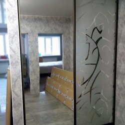 Зеркальный шкаф-купе с пескоструйным рисунком
