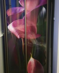 Шкаф купе с фотопечатью цветы